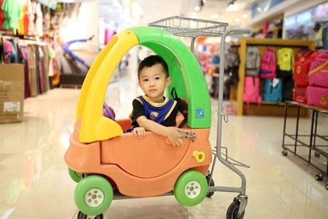 Najnowsze blogi firmy Why is a Secure Shopping Trolley a Crucial Element of Your Store's Safety ?